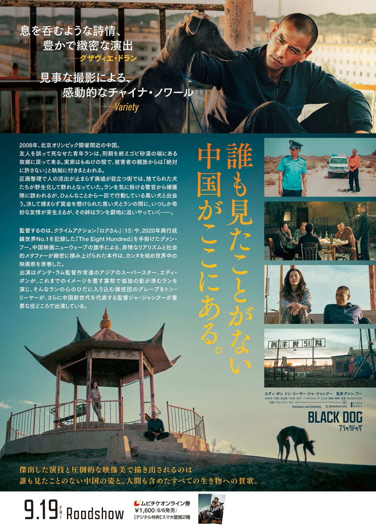 blackdog_20250527_2.jpg?