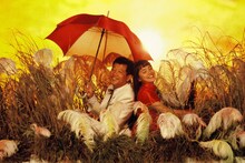 「東京上空いらっしゃいませ」より笑福亭鶴瓶（左）、牧瀬里穂（右） ©1990 イール・トウェンティ・ワン／バンダイビジュアル