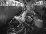 「ラ・コシーナ/厨房」場面写真