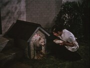 「青空娘」場面写真 ©KADOKAWA1957