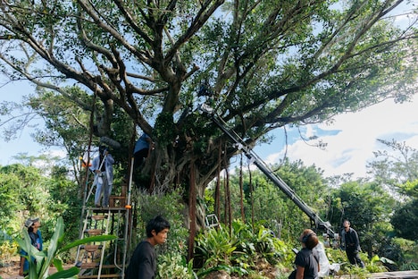 沖縄・伊江島のミースィ公園に設営されたガジュマルの木のロケセット