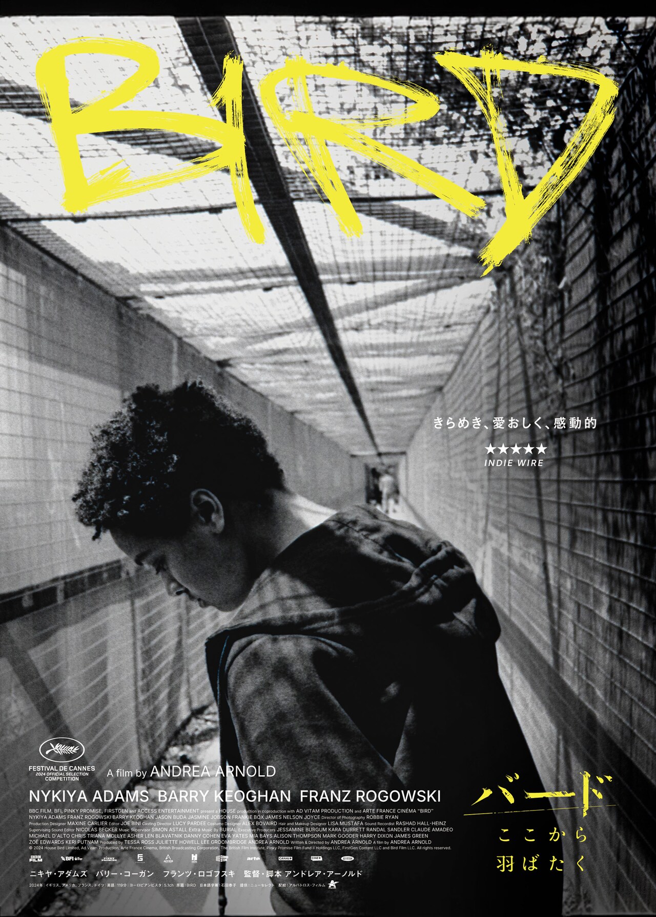 「バード ここから羽ばたく」ティザービジュアル