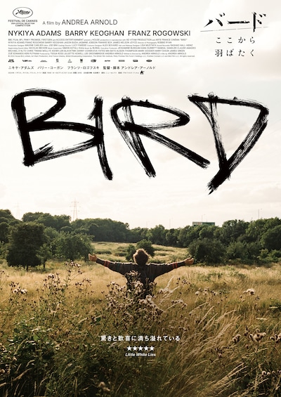 「バード ここから羽ばたく」ティザービジュアル