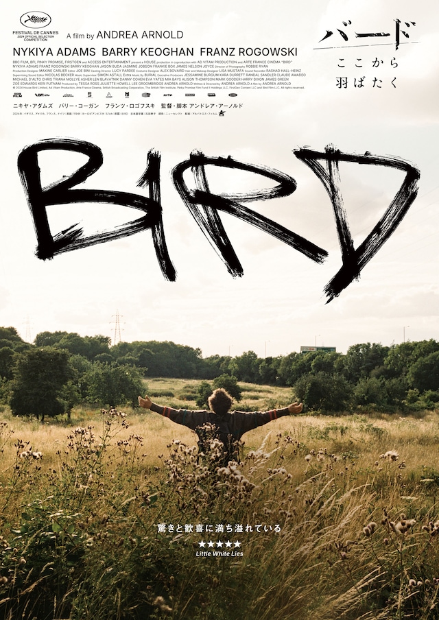 「バード ここから羽ばたく」ティザービジュアル