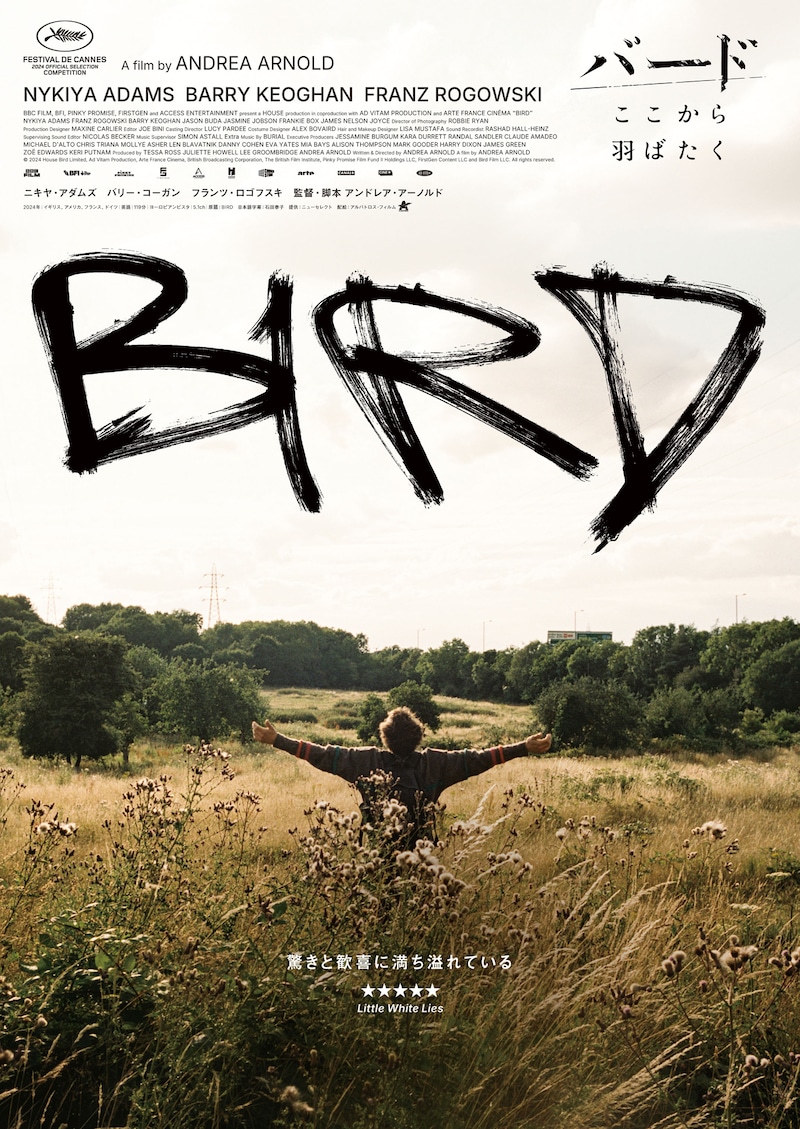 「バード ここから羽ばたく」ティザービジュアル