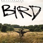 12歳の少女が摩訶不思議な男と出会う、アンドレア・アーノルド新作「バード」9月公開