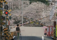 映画「秒速5センチメートル」ティザービジュアル第2弾