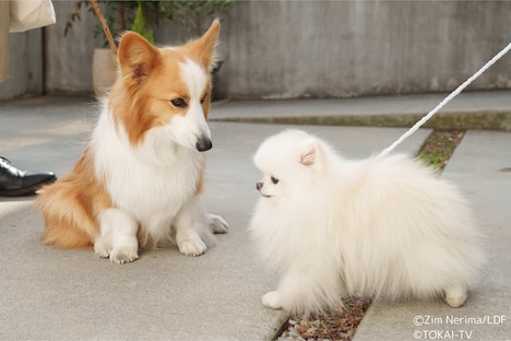 「おっさんのパンツがなんだっていいじゃないか！SP」場面写真
