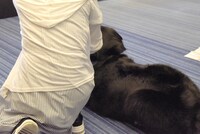 ステージの下に座り込み、休憩するボナ（奥）