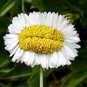 「恐怖心展」より