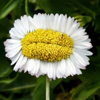 「恐怖心展」より