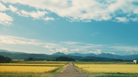 「書けないんじゃない、書かないんだ」場面写真