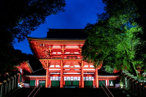 ライトアップされた滋賀・近江神宮