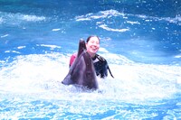 「ChaO」スペシャルコラボドルフィンパフォーマンスの様子