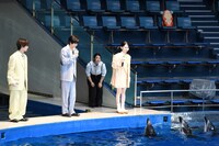 山田杏奈（右）のもとに集まるイルカたち