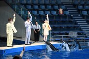 イルカたちにジャンプの合図をする太田駿静（左）、鈴鹿央士（中央）、山田杏奈（右）