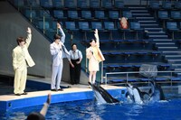 イルカたちにジャンプの合図をする太田駿静（左）、鈴鹿央士（中央）、山田杏奈（右）