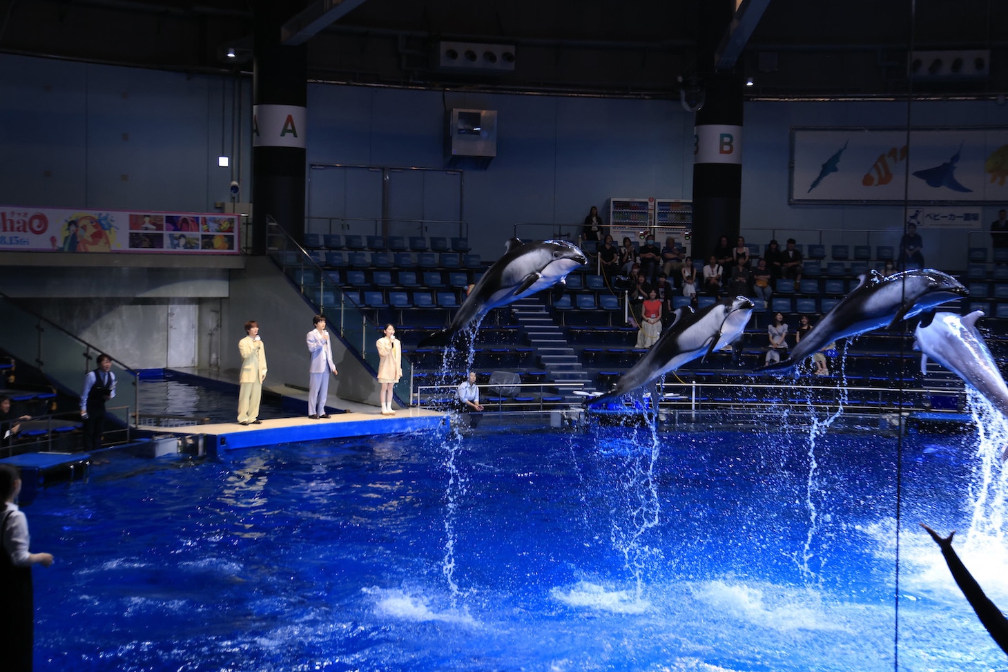 イルカたちのパフォーマンスを見つめる太田駿静（左）、鈴鹿央士（中央）、山田杏奈（右）