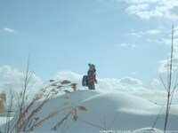 「泳ぎすぎた夜」場面写真