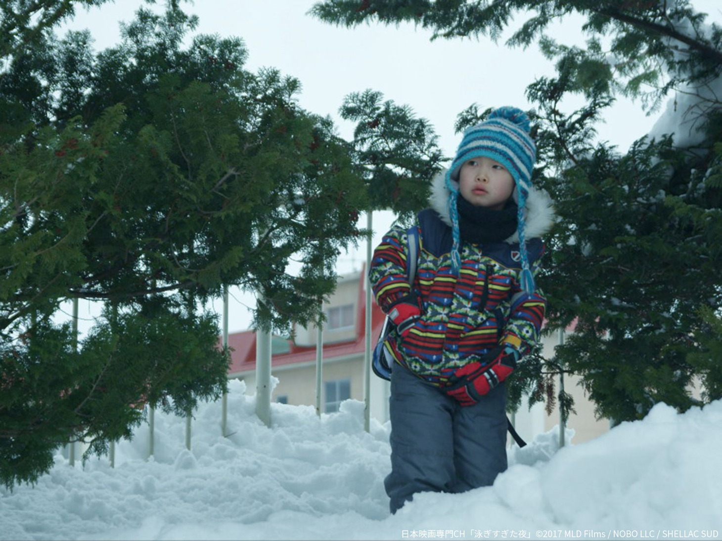 「泳ぎすぎた夜」場面写真