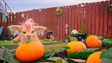 海外ドラマ「ピックル・ストーム 異世界からの転校生」場面写真