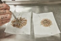 「ムガリッツ」新場面写真