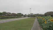 「戦後80年 内田也哉子ドキュメンタリーの旅『戦争と対話』」より「いのちと向き合う」場面写真