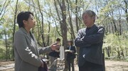 「戦後80年 内田也哉子ドキュメンタリーの旅『戦争と対話』」より「再会~平壌への遠い道~」場面写真