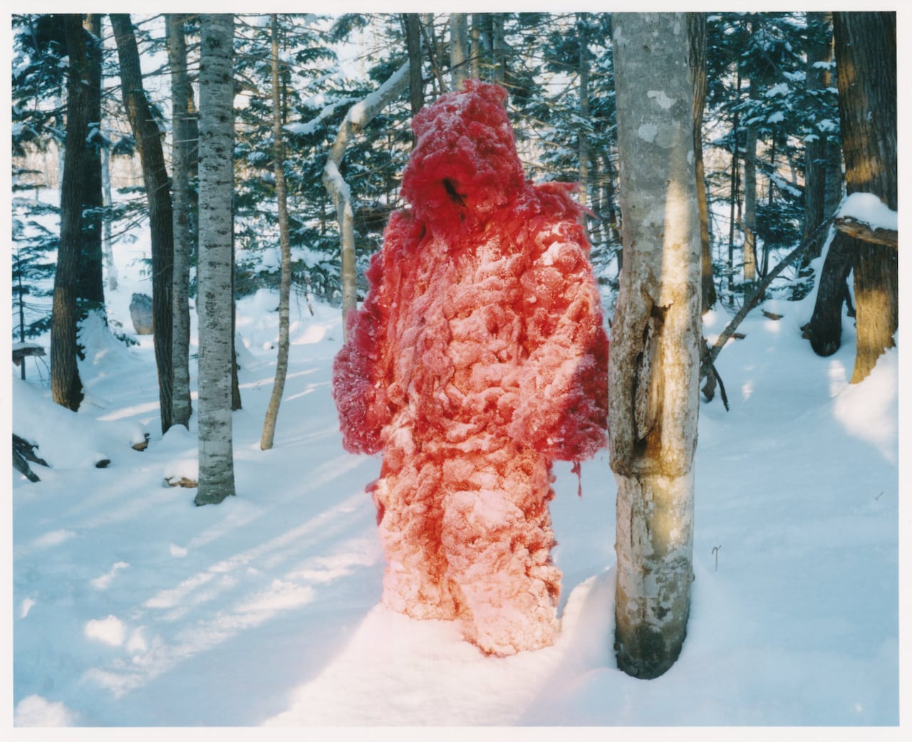 吉開菜央が知床半島で作り上げた「Shari」上映、音楽・松本一哉とのパフォーマンスも