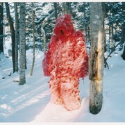 吉開菜央が知床半島で作り上げた「Shari」上映、音楽・松本一哉とのパフォーマンスも