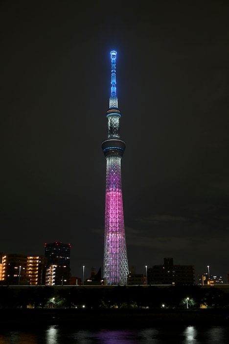 「星つなぎのエリオ」特別ライティング