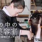 「塀の中の美容室」奈緒がモデルの刑務所を訪れる新映像、夏帆・成海璃子らのインタビューも