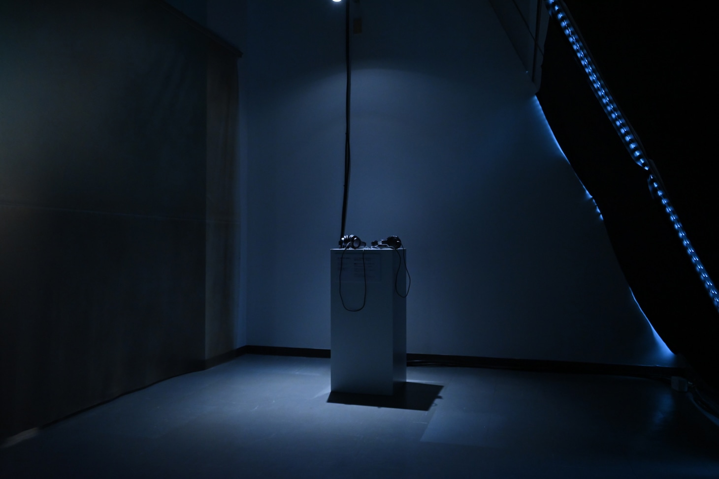 「笑い声に対する恐怖心」の展示
