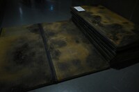 「汚れに対する恐怖心」の展示より、通路に敷き詰められた畳