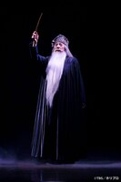 舞台「ハリー・ポッターと呪いの子」より（撮影：渡部孝弘）