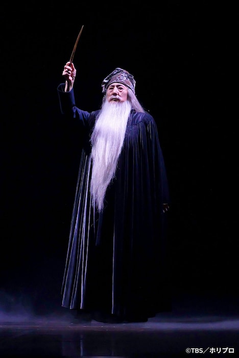 舞台「ハリー・ポッターと呪いの子」より(撮影:渡部孝弘)