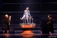 舞台「ハリー・ポッターと呪いの子」より（撮影：渡部孝弘）