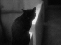 「何も知らない夜」場面写真