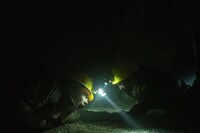 「エレベーション 絶滅ライン」新場面写真