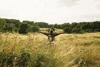 「バード ここから羽ばたく」場面写真