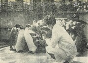 「動物園日記」場面写真（資料提供：記録映画保存センター）