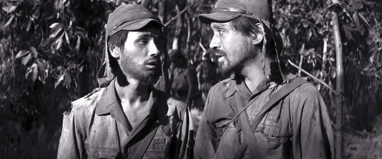 「もう戦争はやめようよ」ミッキー・カーチスが「野火」撮影を回想、岩井俊二らのコメントも