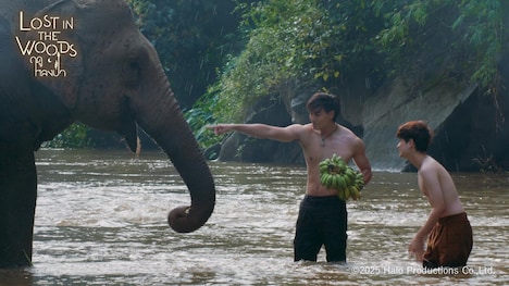 「Lost in the Woods」場面写真