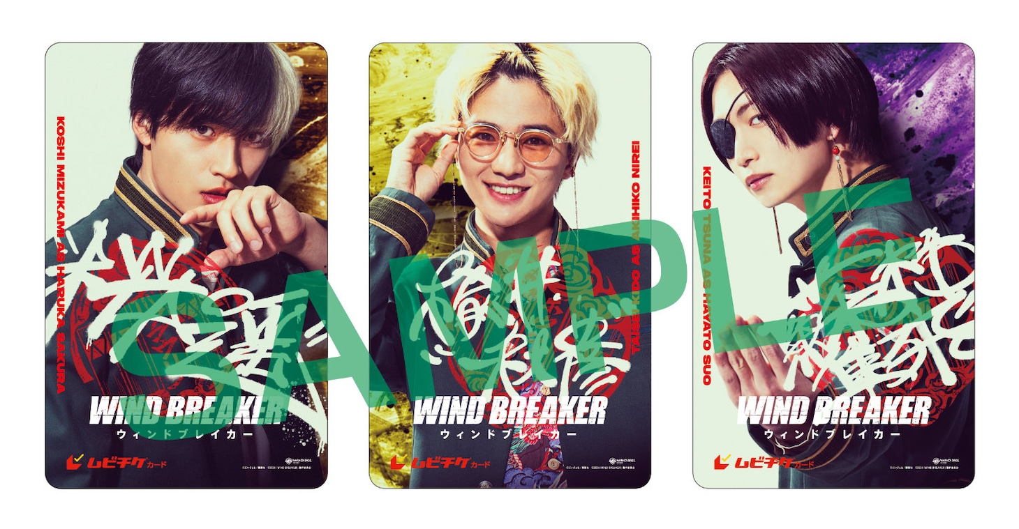 映画「WIND BREAKER／ウィンドブレイカー」ムビチケビジュアル