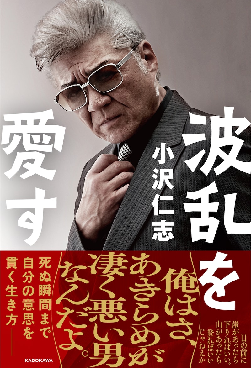 「波乱を愛す」書影