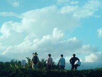 「ひみつきちのつくりかた」場面写真