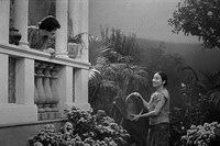 「グランドツアー」場面写真