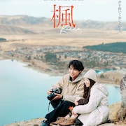 福士蒼汰と福原遥、スピッツの楽曲もとにした「楓」でW主演 予告映像にはテカポ湖の星空