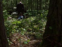 「バイオレント・ネイチャー」場面写真