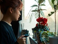 大阪アジアン映画祭で監督作3本上映、田中未来が描くのは人間関係の中で起こる普遍的な問題